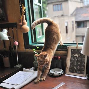 无套内射波多野结衣
