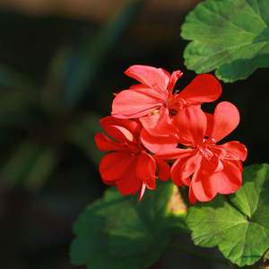 无套内射波多野结衣
